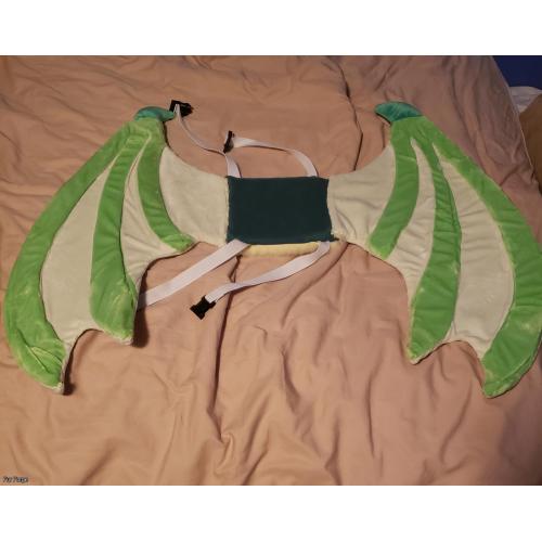Dragon Wings and Tail