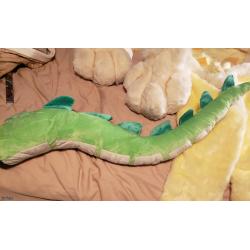 Dragon Wings and Tail