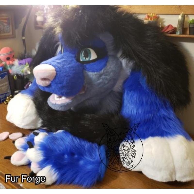 Blue Poodle Partial