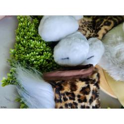 Leopard Partial