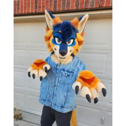 Wren Coyote Premade