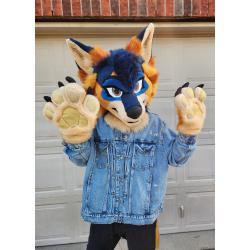 Wren Coyote Premade