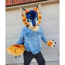 Wren Coyote Premade