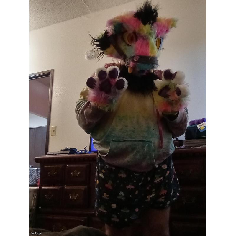 Rainbow big cat partial