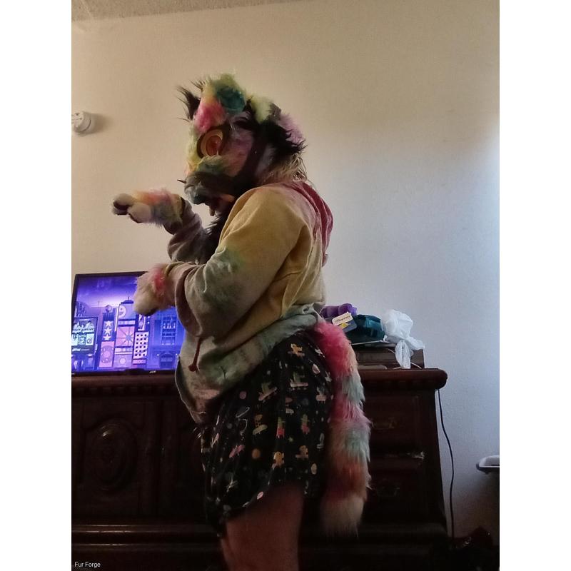 Rainbow big cat partial