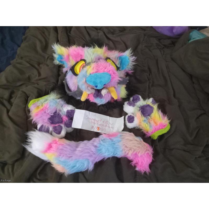 Rainbow big cat partial