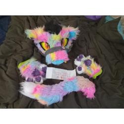 Rainbow big cat partial