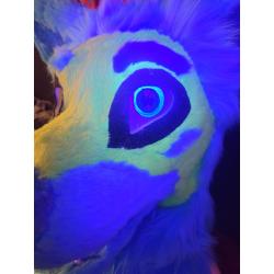 UV Reactive Wolf "Geronimo"