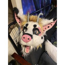 old beast cub suit
