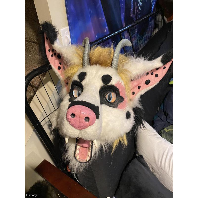 old beast cub suit
