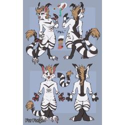 old beast cub suit
