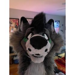 Premade Fursuit Head