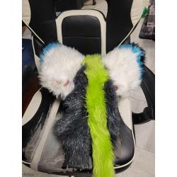 white fuzzy dog