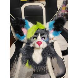 white fuzzy dog