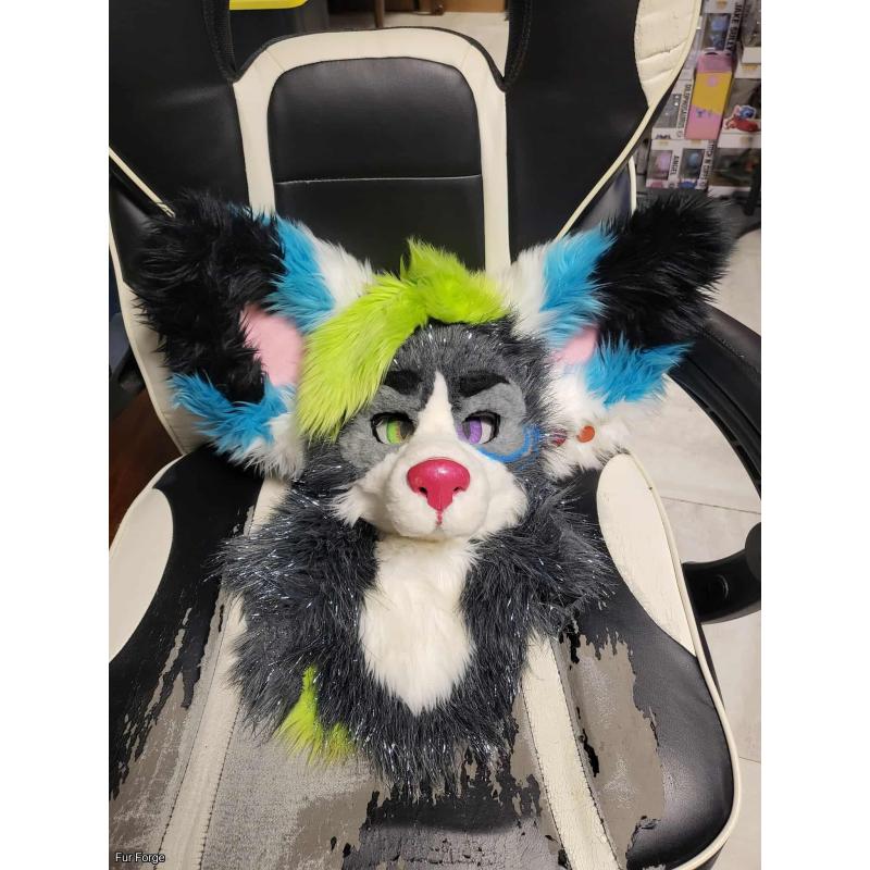 white fuzzy dog