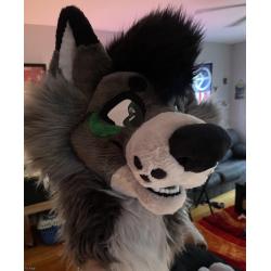 Premade Fursuit Head