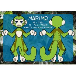 Marimo monkey Partial