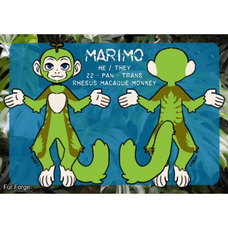 Marimo monkey Partial