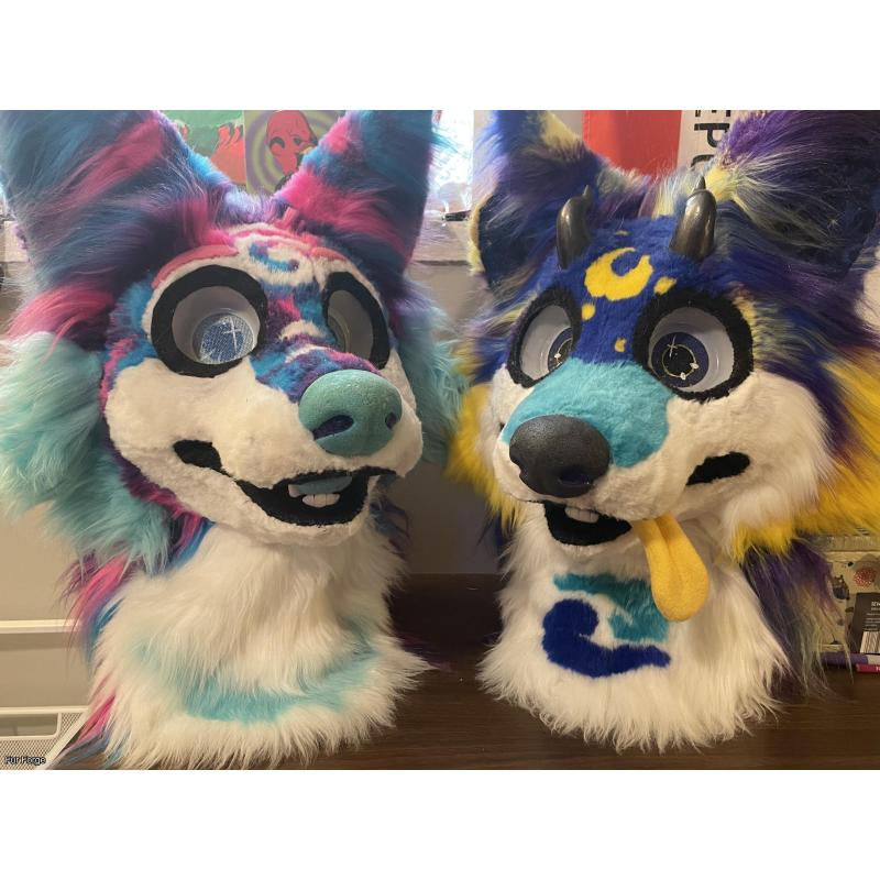 Starry Night Pup Partial
