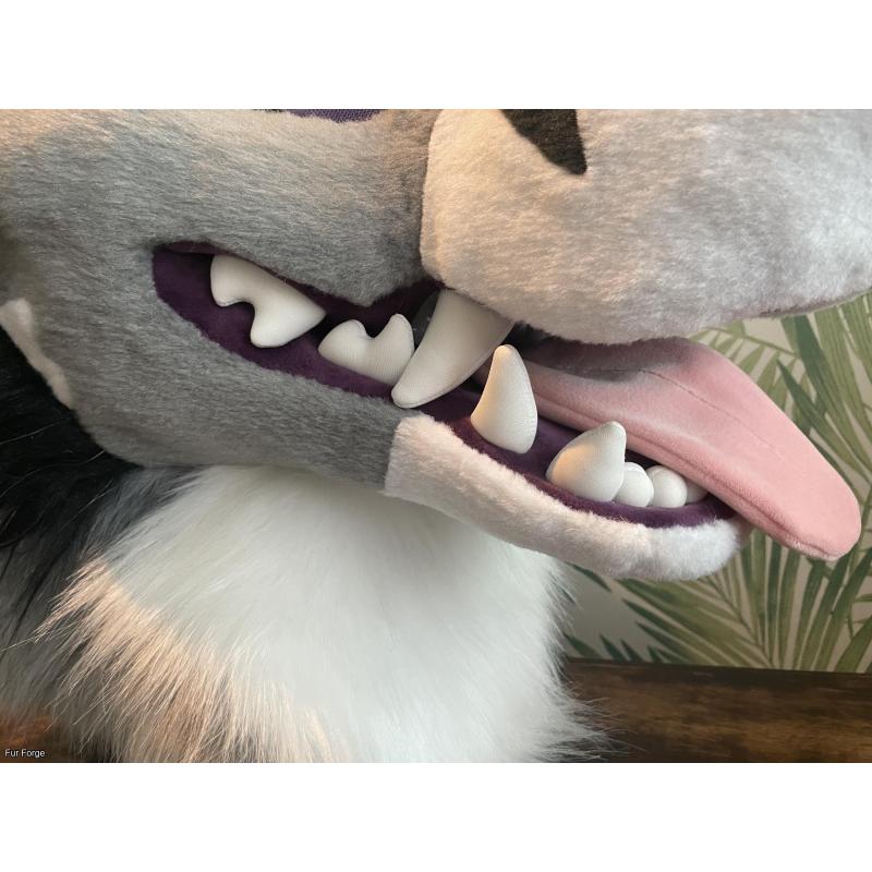 Tooth-themed fox premade