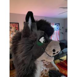 Premade Fursuit Head