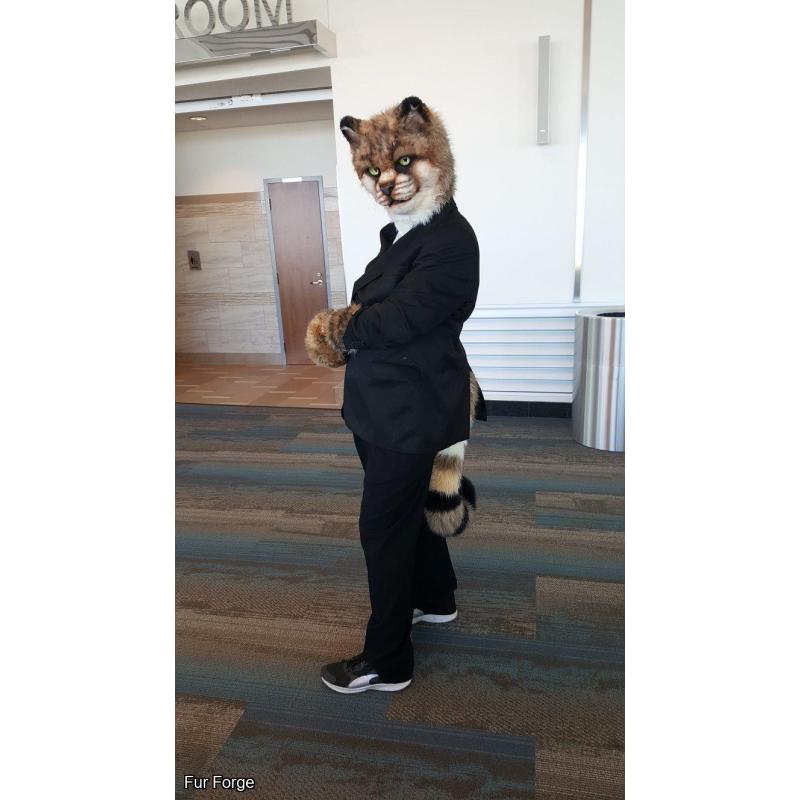 "Angry" cat partial fursuit