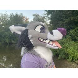 Tooth-themed fox premade