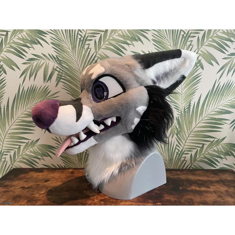 Tooth-themed fox premade