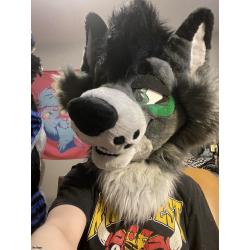 Premade Fursuit Head