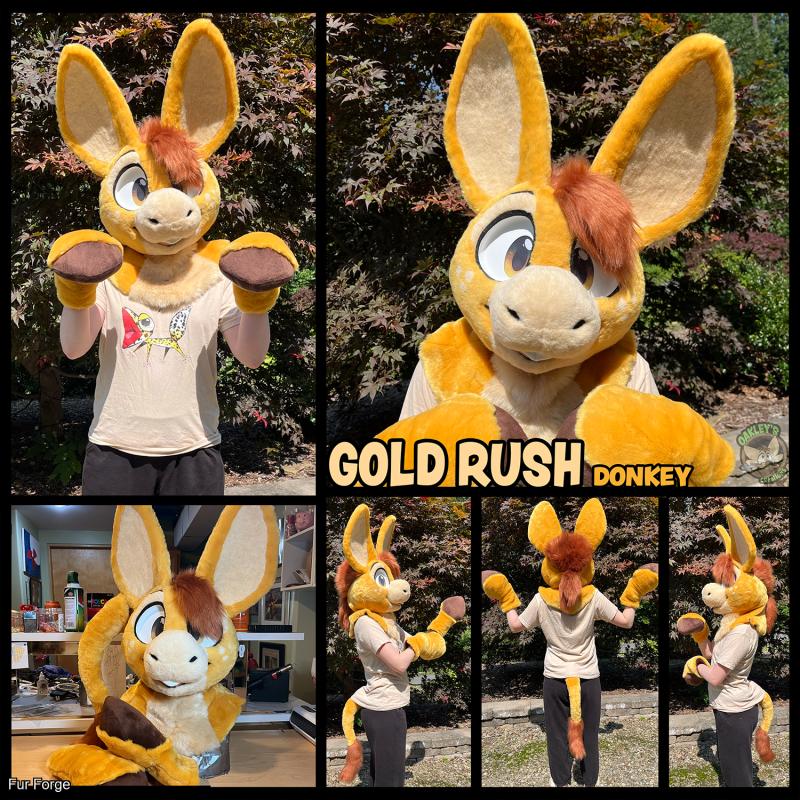 Gold Rush Donkey Mini Partial