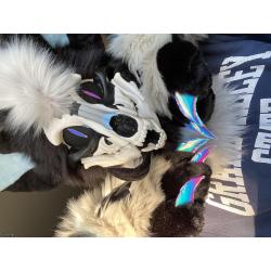 HQ SKULLDOG PARTIAL