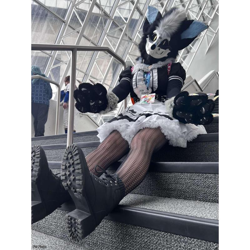 HQ SKULLDOG PARTIAL
