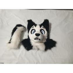 CUTIE HUSKY