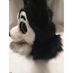 CUTIE HUSKY