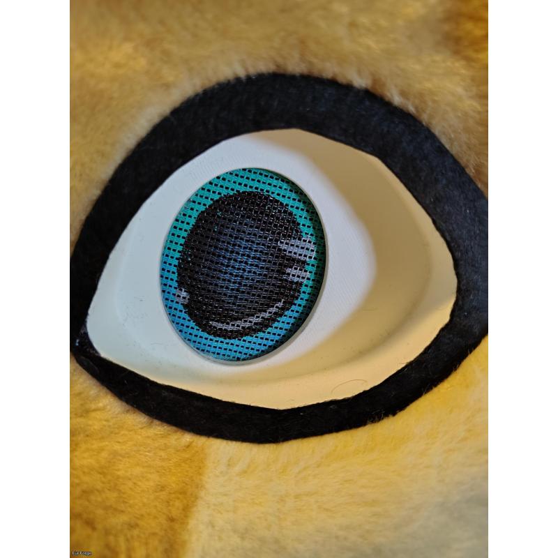 Fursuit Retriever Partial head and paws