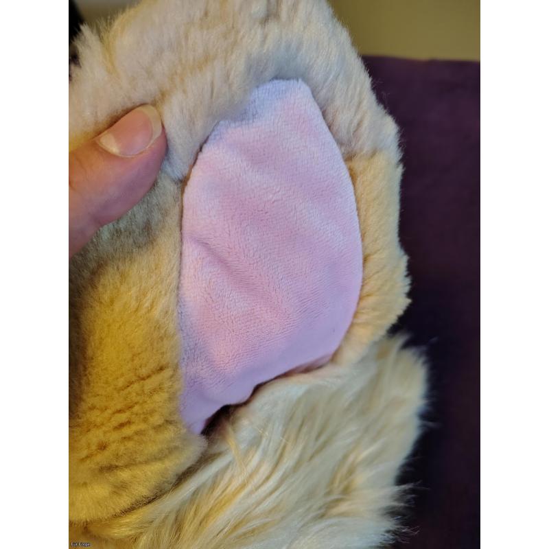 Fursuit Retriever Partial head and paws