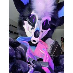 HQ SKULLDOG PARTIAL