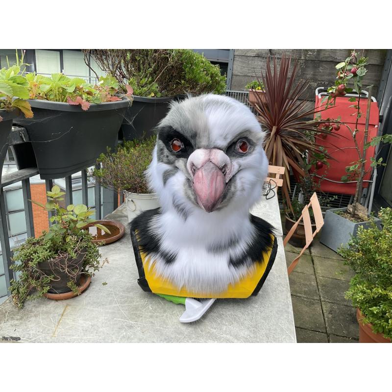 Premade Pigeon Realistic Head + Tail