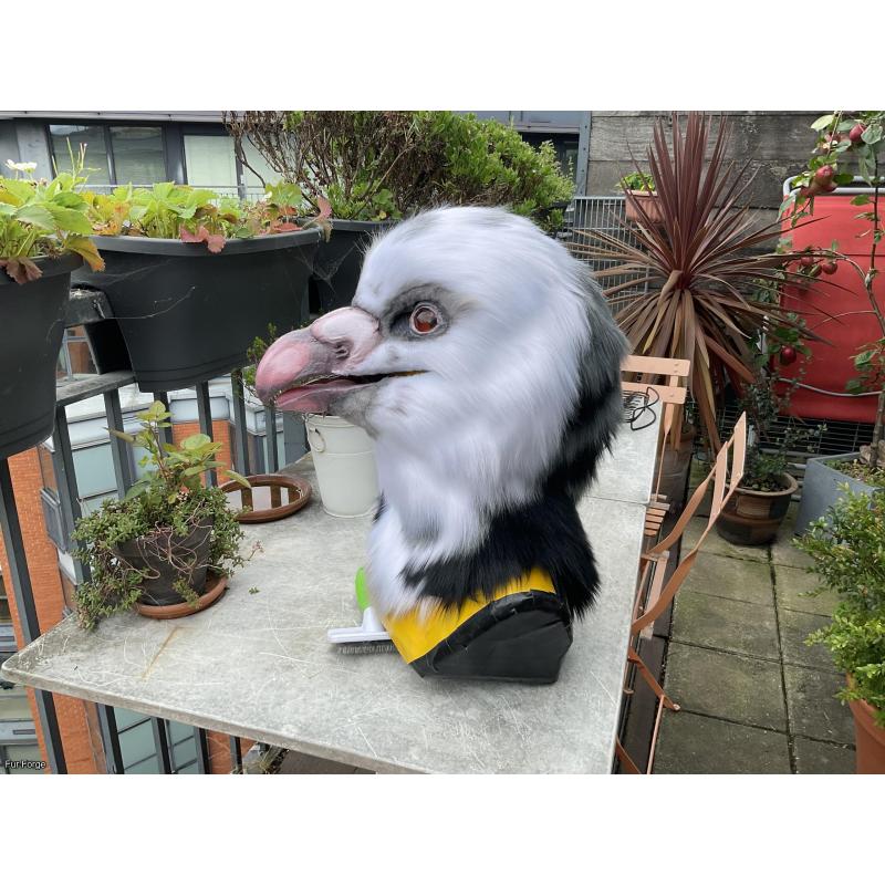Premade Pigeon Realistic Head + Tail