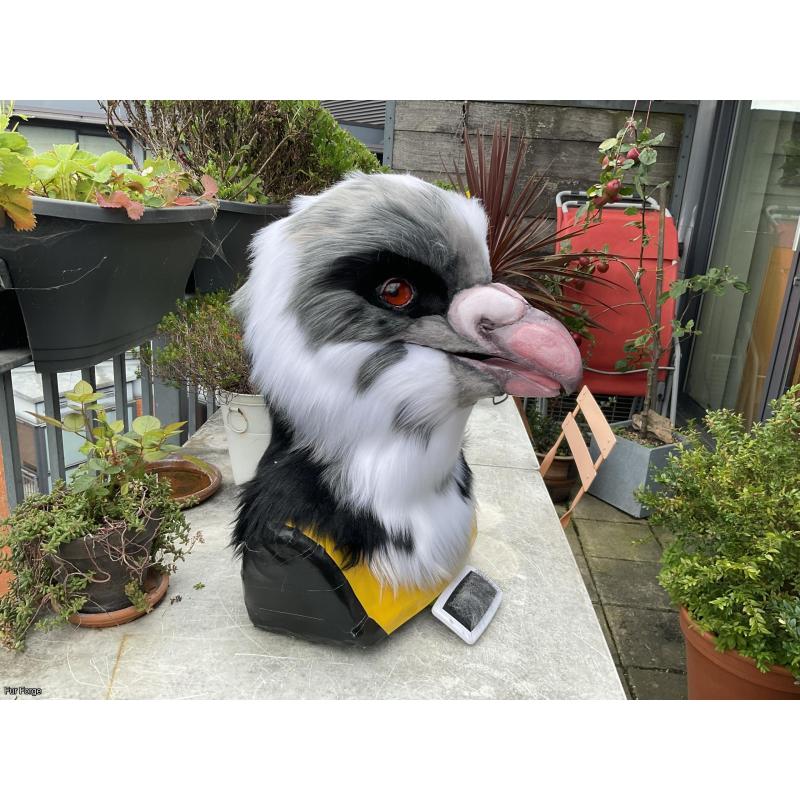 Premade Pigeon Realistic Head + Tail