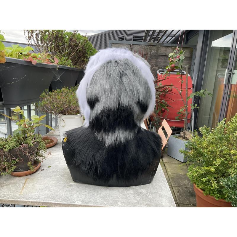Premade Pigeon Realistic Head + Tail