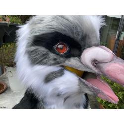 Premade Pigeon Realistic Head + Tail