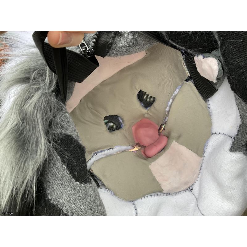 Premade Pigeon Realistic Head + Tail