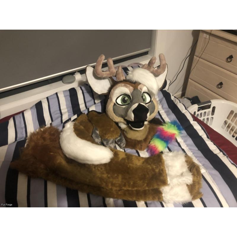 Deer Fursuit (read description)