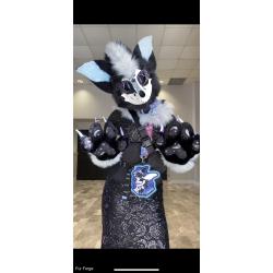HQ SKULLDOG PARTIAL