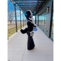 HQ SKULLDOG PARTIAL