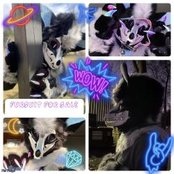 HQ SKULLDOG PARTIAL