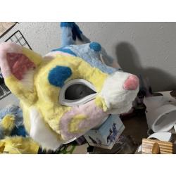PRECLAIM Sleepy Kitty Partial