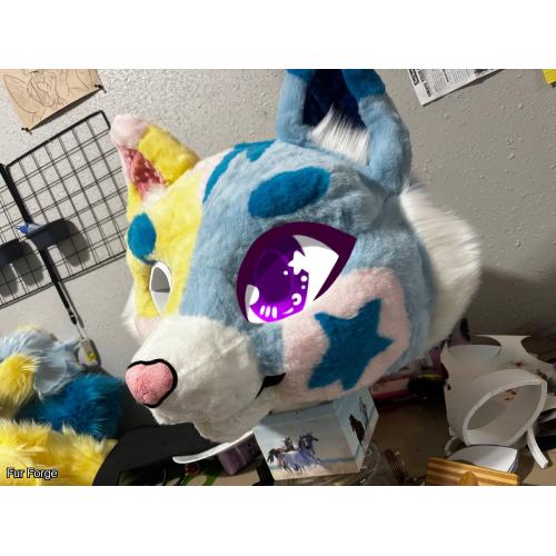 PRECLAIM Sleepy Kitty Partial