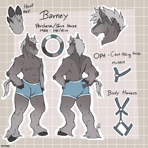 Shire Horse Resale OC check desc